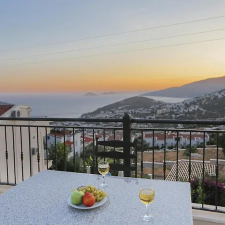 Sarnıç *