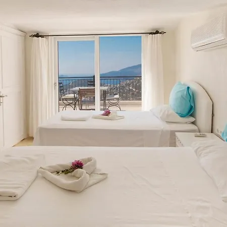 Sarnic Villa